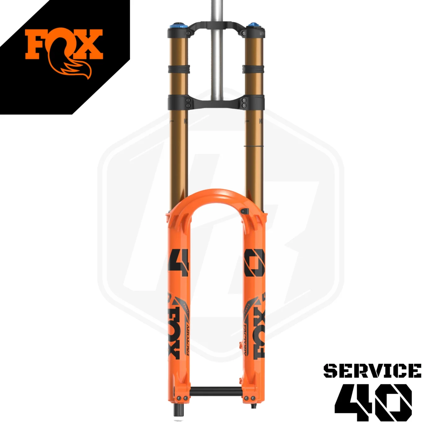 Service FOX 40